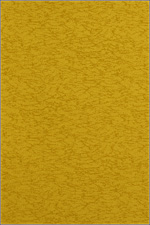 ЦВЕТ 1303